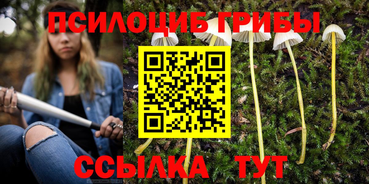 Галлюциногенные грибы Magic Shrooms  Вход с VPN  Советский 